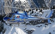  Eurocopter AS 350 B1 Ecureuil  ©  Heli Pictures 