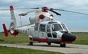  Eurocopter AS 365 F2 Dauphin2  ©  Heli Pictures 