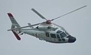  Eurocopter AS 365 F2 Dauphin2  ©  Heli Pictures 